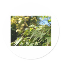 sea of leafs stickers by Elfain sea of leafs stickers