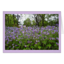 Sea of Purple cards by windwalker Sea of Purple cards