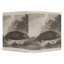 Sea otter, British Columbia 3 Ring Binders