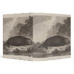 Sea otter, British Columbia 3 Ring Binders
