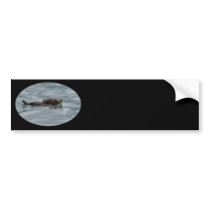 sea otter bumper stickers by WorldDesign sea otter bumper stickers