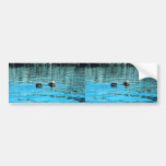 Sea Otter Bumper Sticker