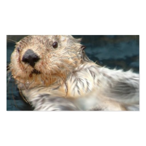 Sea Otter Business Card (back side)