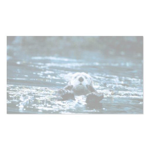 Sea Otter Business Card (back side)