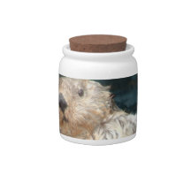 Sea Otter  Candy Jar