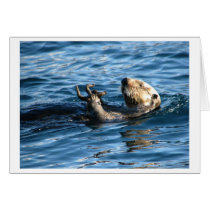 Sea Otter cards