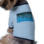 Sea Otter Pet Clothing