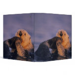 Sea Otter, Enhydra lutris Vinyl Binder