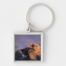 Sea Otter, Enhydra lutris Key Chain