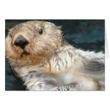 Sea Otter Greeting Card