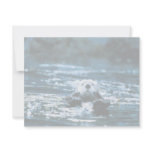 Sea Otter Invite