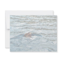 Sea Otter Custom Announcements