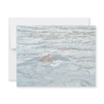 Sea Otter Custom Announcements