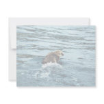Sea Otter Personalized Invite