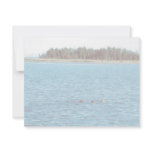 Sea Otter Personalized Announcements