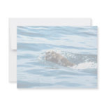 Sea Otter Personalized Invitations