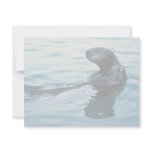 Sea Otter Personalized Invitation