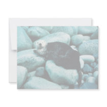 Sea Otter Personalized Announcements