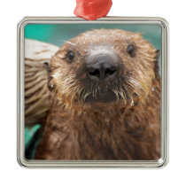 Sea otter love christmas ornaments
