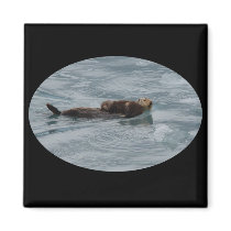 sea otter magnets by WorldDesign sea otter magnets