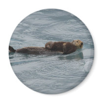 sea otter magnets by WorldDesign sea otter magnets