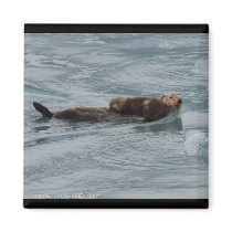 Sea Otter magnets by WorldDesign Sea Otter magnets