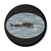sea otter magnets by WorldDesign sea otter magnets