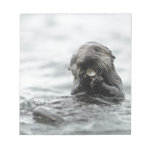 Sea Otter Memo Note Pads Sea Otter Memo Note Pads