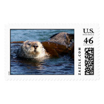 Sea Otter, Morro Bay, California postage
