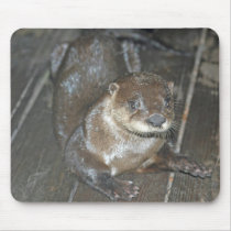 Sea otter mousepads by Animal_Anticipation Sea otter mousepads