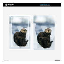 Sea Otter on ice Kindle Fire Skin