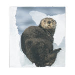 Sea Otter on ice Memo Note Pads Sea Otter on ice Memo Note Pads