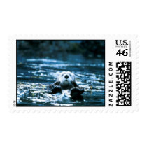 Sea Otter Postage Stamps