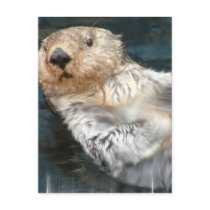 Sea Otter Postcard