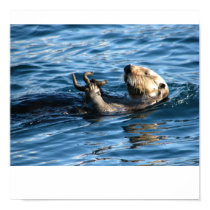 Sea Otter posters by Lilest_Duncan Sea Otter posters