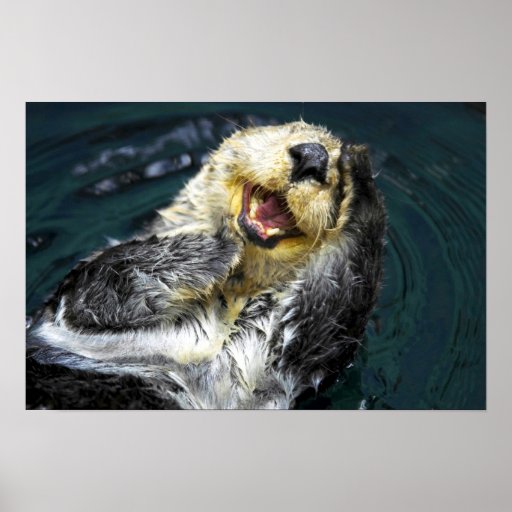 Sea Otter Poster Zazzle