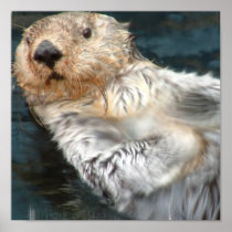 Sea Otter Poster Print