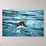 Sea Otter Posters