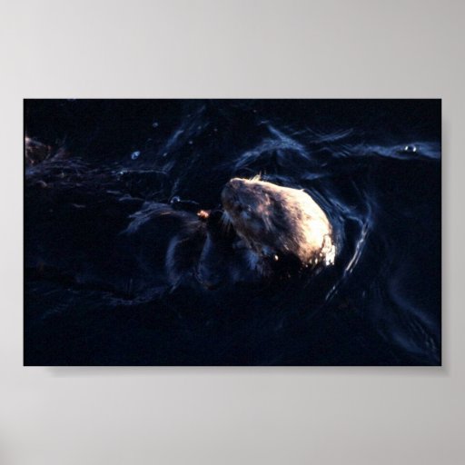 Sea Otter Print