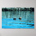 Sea Otter Print