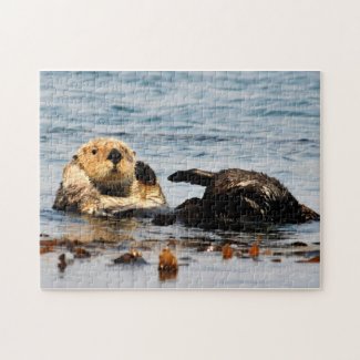 Sea Otter Puzzle puzzle