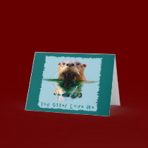 SEA OTTER Series I cards