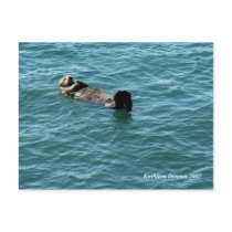 Sea Otter Sleeping postcards by KatDuncanDesigns Sea Otter Sleeping postcards
