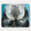 Sea Otter Snoozing mousepads by rdh1079 Sea Otter Snoozing mousepads