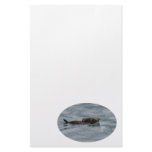 sea otter custom stationery