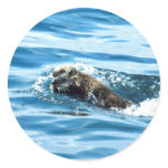 Sea Otter Round Stickers