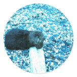 Sea Otter Stickers