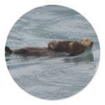 sea otter sticker