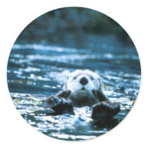 Sea Otter Stickers