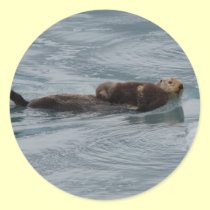 sea otter stickers